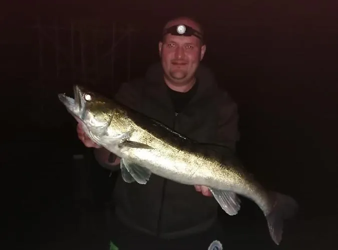 Hébergement de vacances My