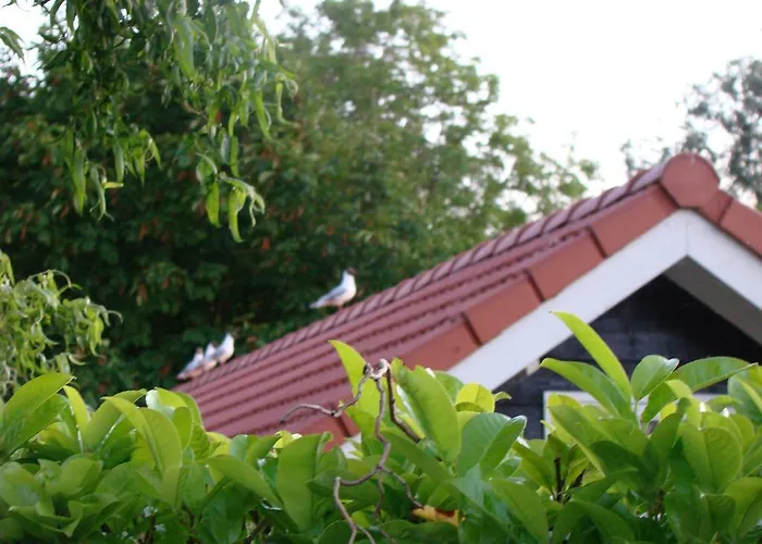 Prázdninový dům My