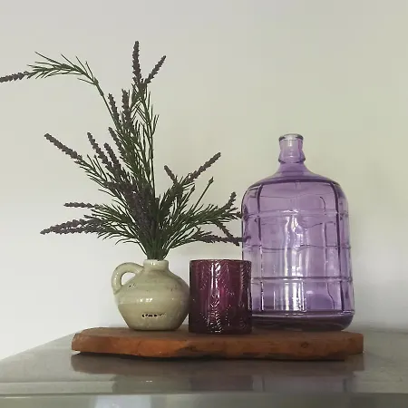 別荘 My Dinteloord